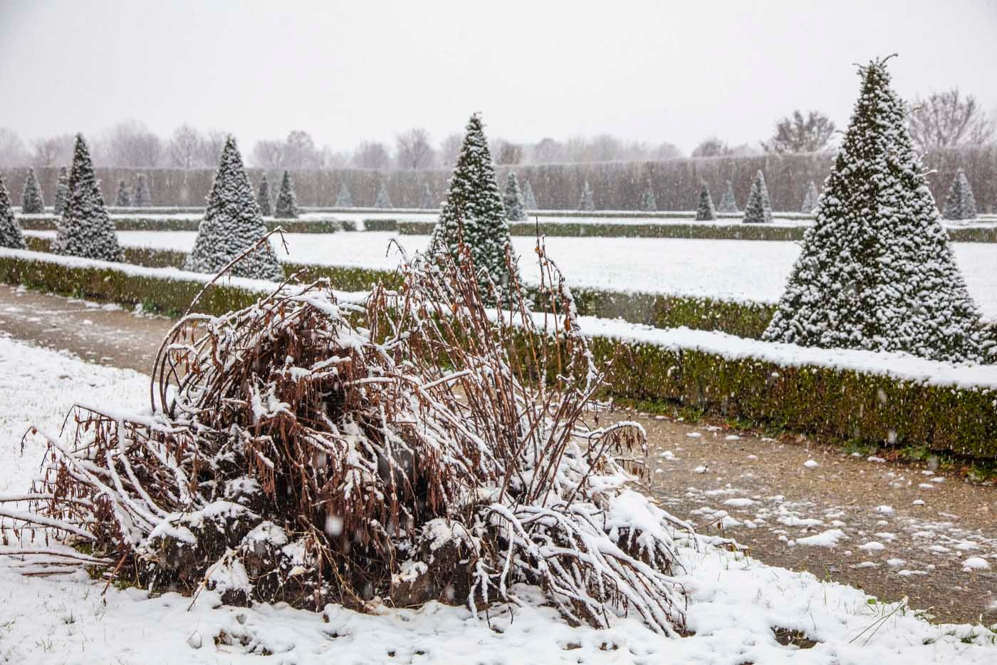 Inverno nei Giardini della Reggia di Venaria - Foto di Dario Fusaro 11