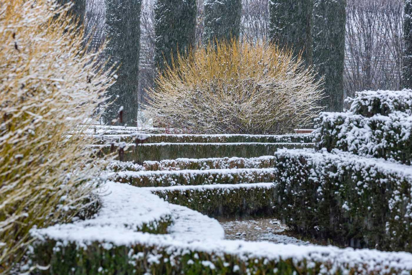 Inverno nei Giardini della Reggia di Venaria - Foto di Dario Fusaro 13