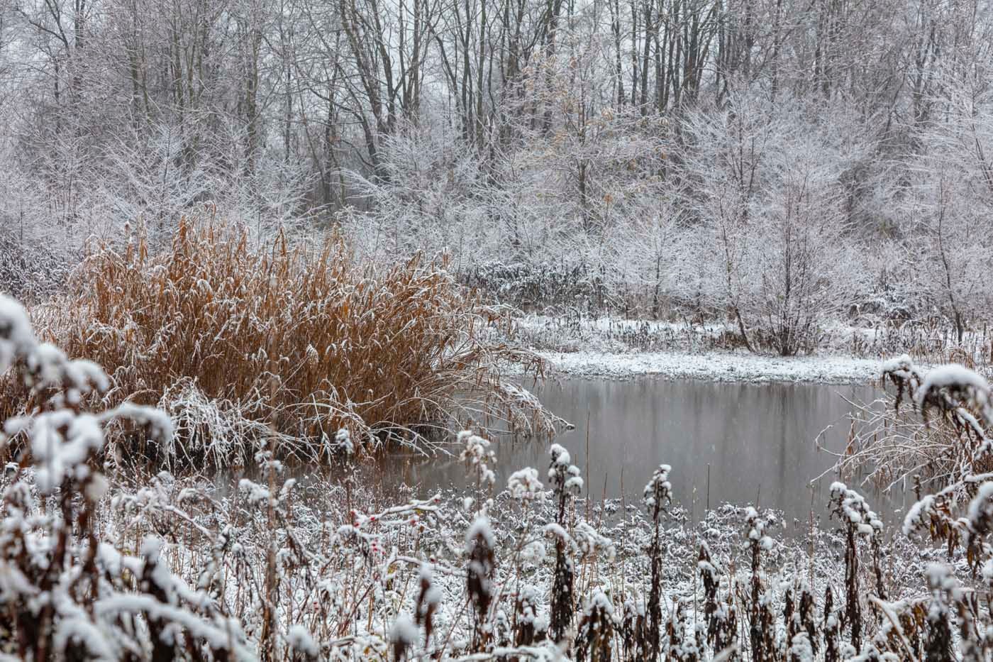 Inverno nei Giardini della Reggia di Venaria - Foto di Dario Fusaro 14
