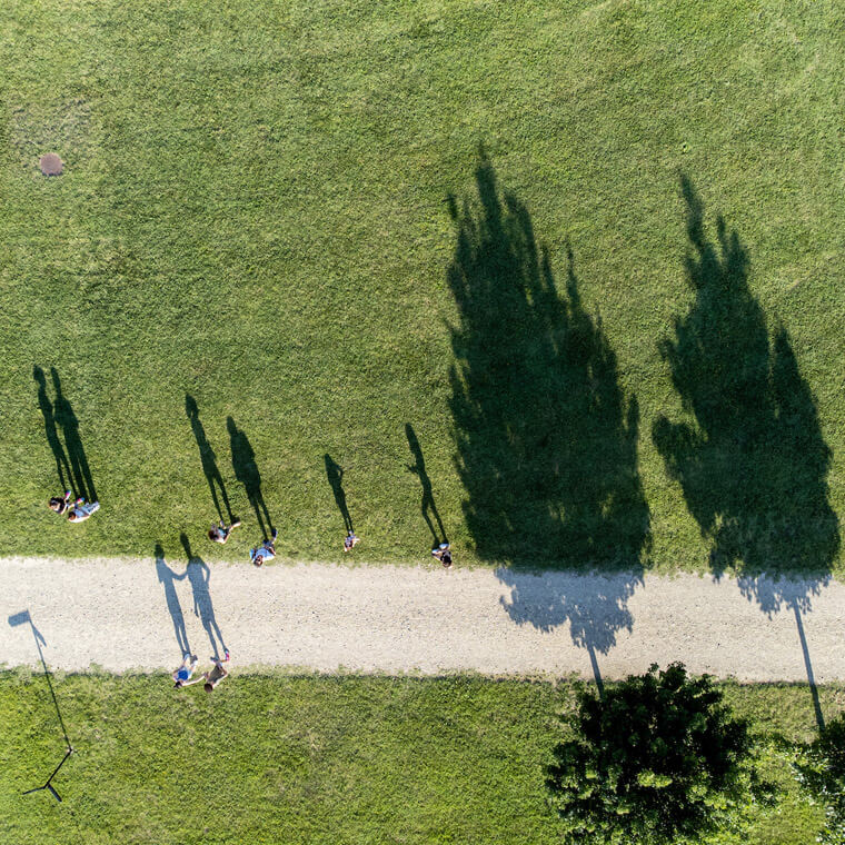 Prati che costeggiano il canale centrale con le lunghe ombre degli aceri campestri, veduta aerea. Foto di Mihele D'Ottavio