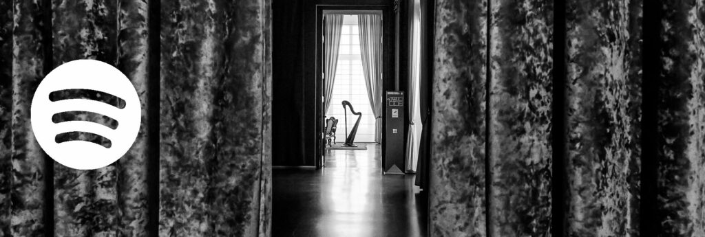 Arpa in una sala della Reggia di Venaria - Foto di Marco Clarizia